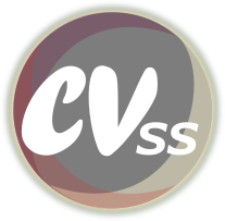 CVSS